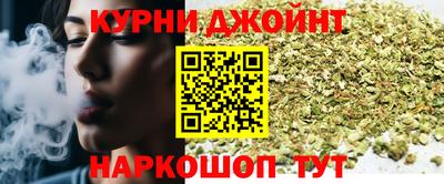 гидра Дубна