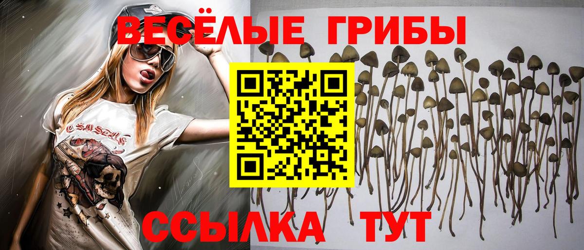 Галлюциногенные грибы Psilocybe  Вход с VPN  Псилоцибиновые грибы ЛСД  даркнет сайт  Мурманск 