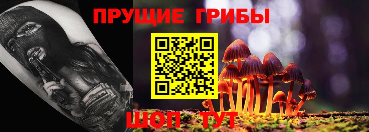 Псилоцибиновые грибы Cubensis Мурманск